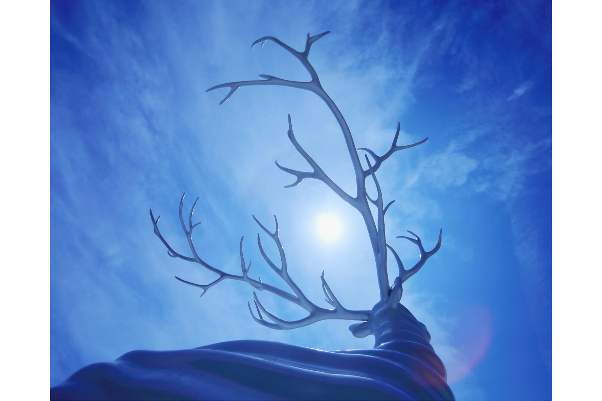 「牡鹿からの願い」 菊池誠一