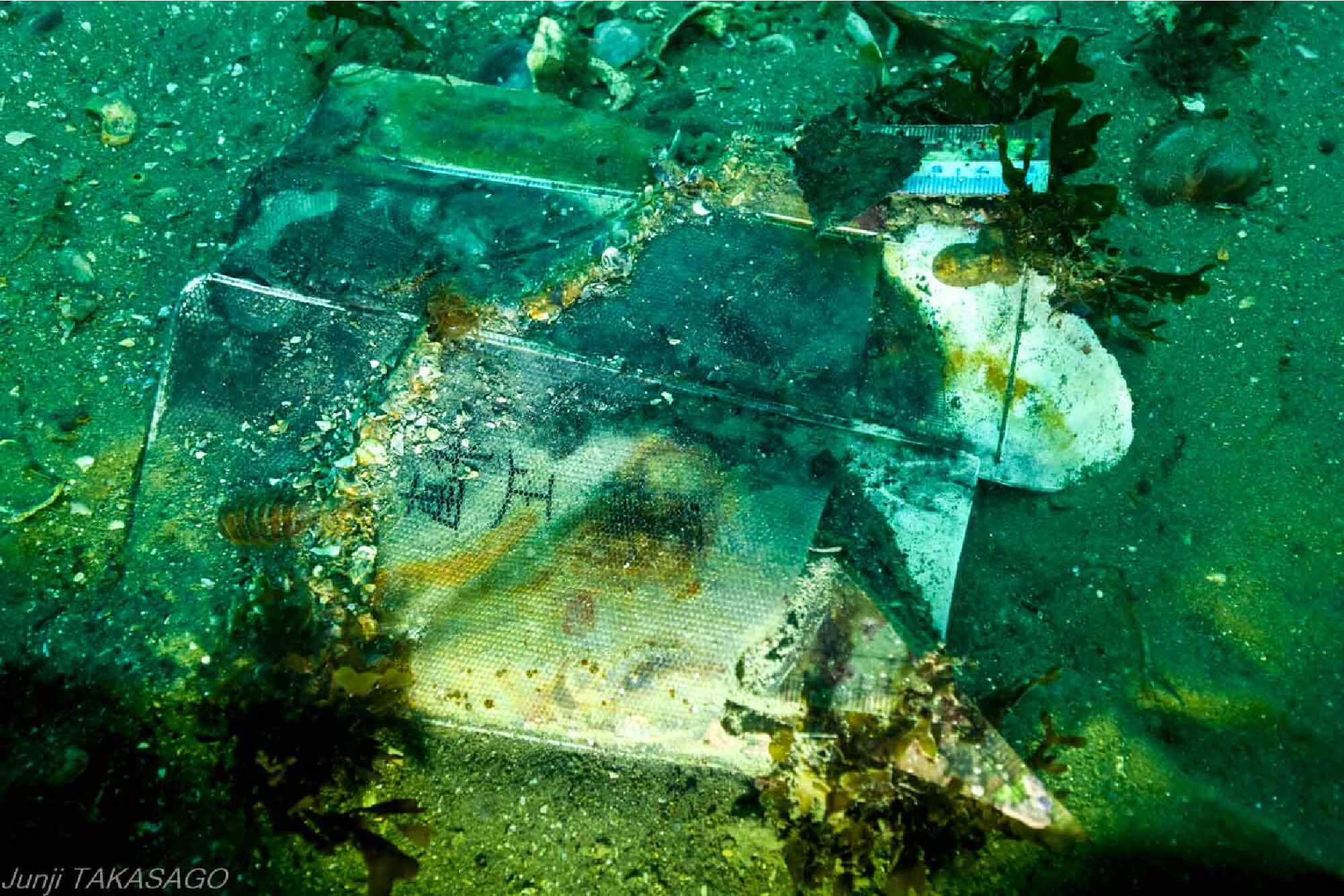 正輝君の定規セット