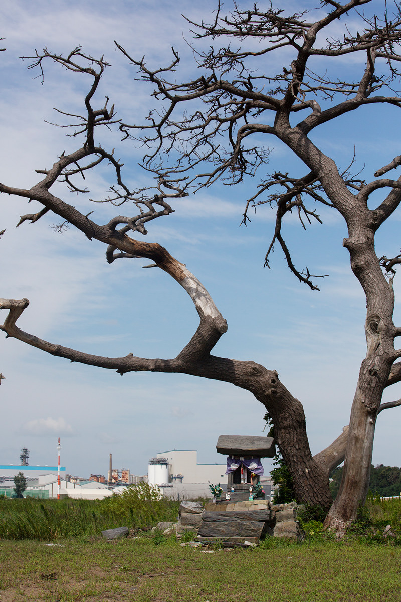 2015 SUMMER IN ISHINOMAKI