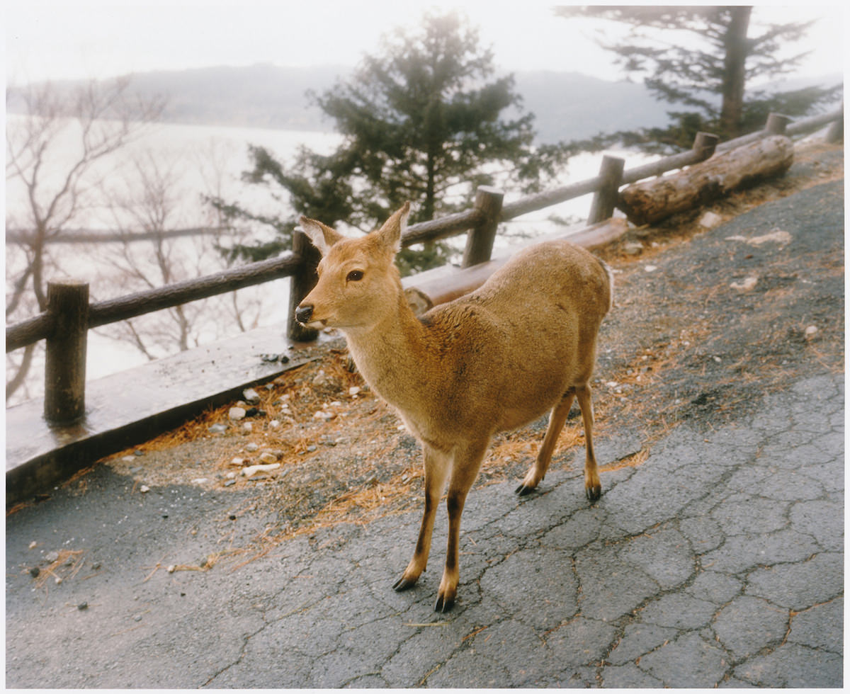 牡鹿半島 Oshika Peninsula Permanent Gallery Photo No Maki Museum フォトノマキミュージアム