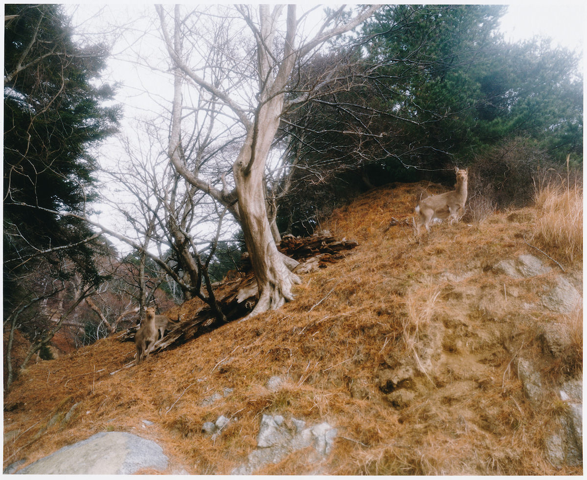 牡鹿半島 Oshika Peninsula