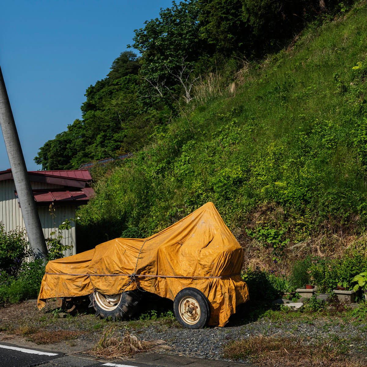 石巻女川-2018-初夏