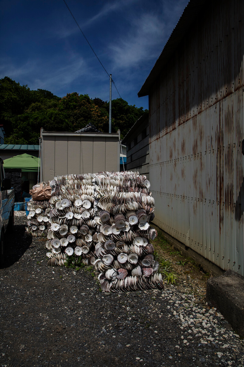 石巻女川-2018-初夏