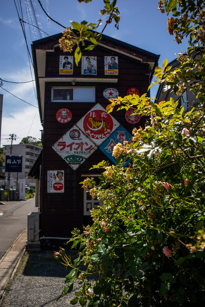 石巻女川-2018-初夏