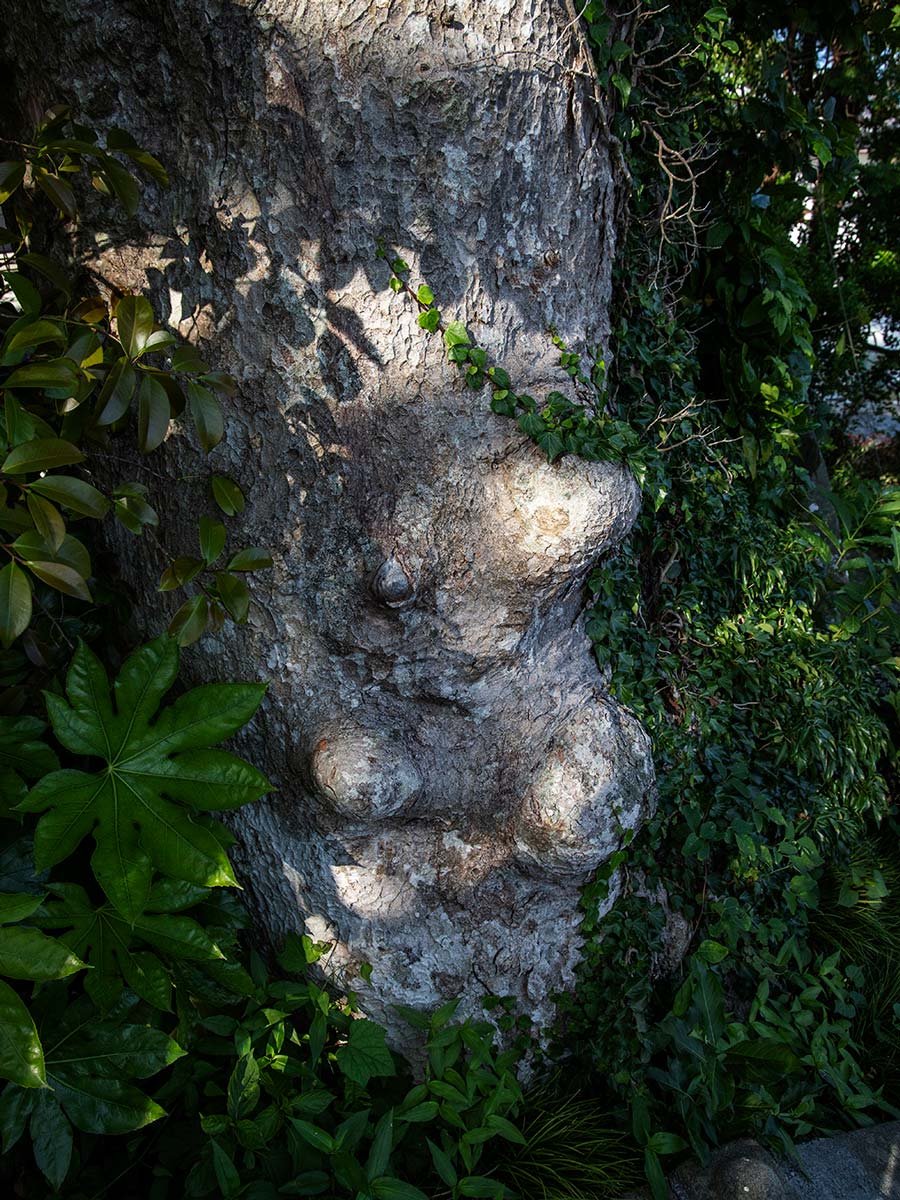 石巻・女川・東松島2019水無月