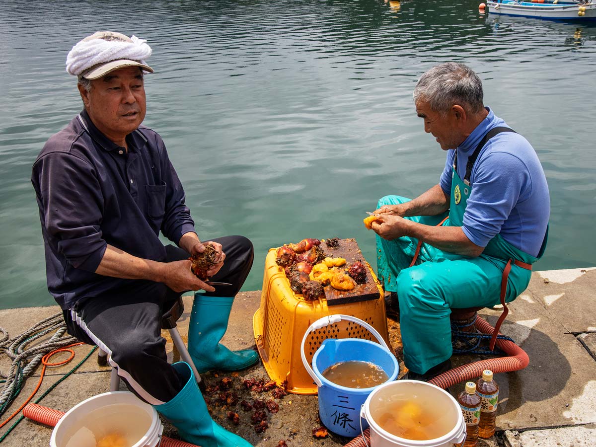 石巻・女川・東松島2019水無月