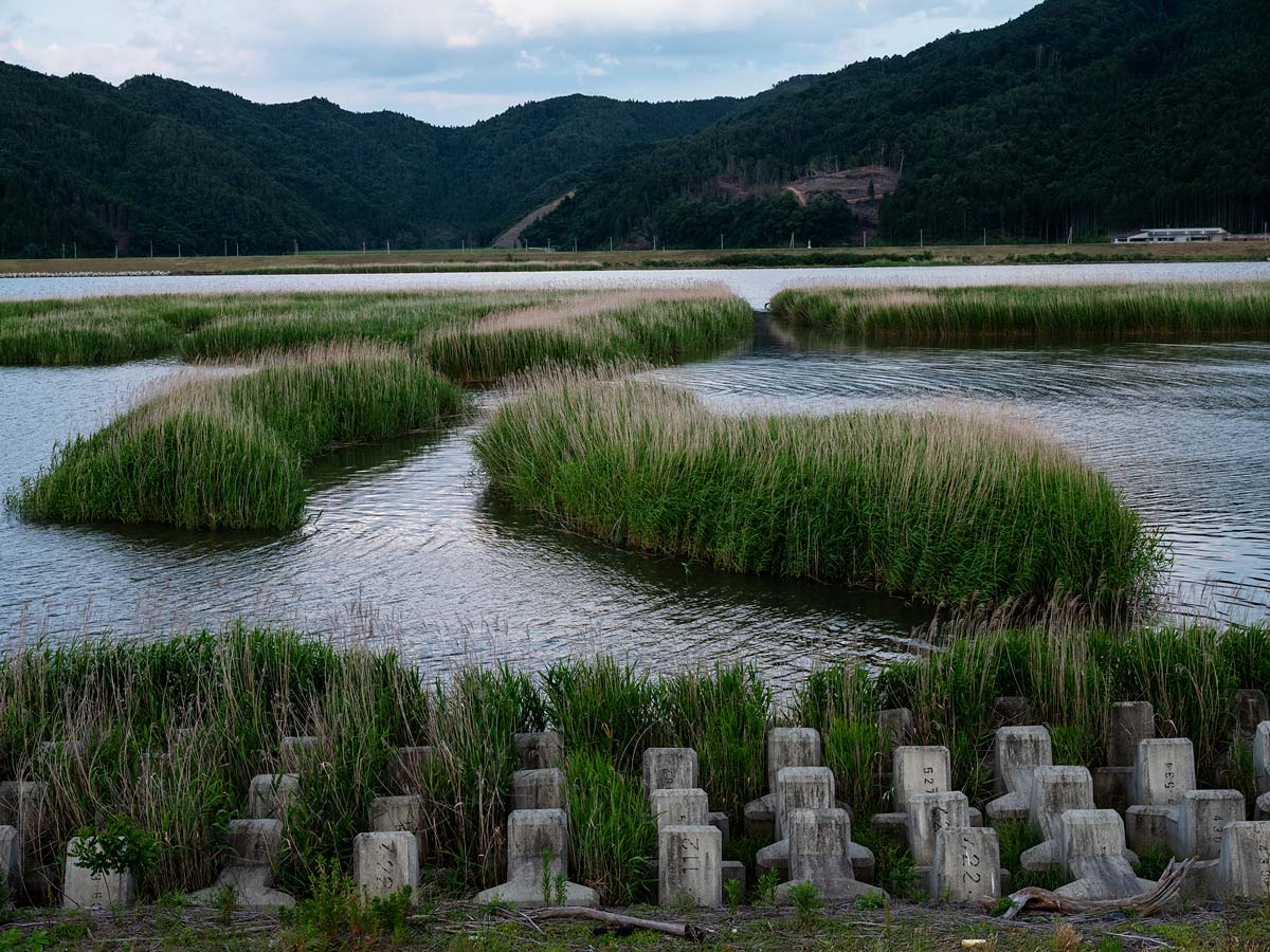 石巻・女川・東松島2019水無月