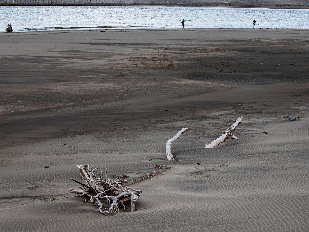 石巻・女川・東松島2019水無月
