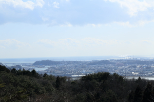 ちょっとだけ見守っている