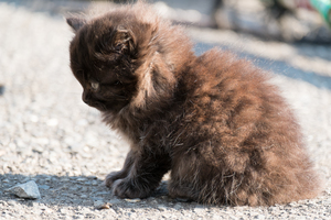 育まれる若い命 