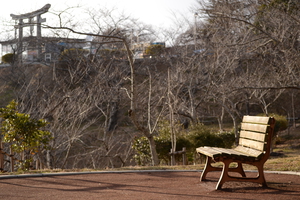 ひより、日和る。 