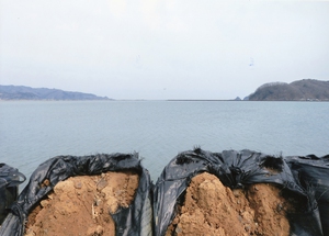 まだ海「長面」