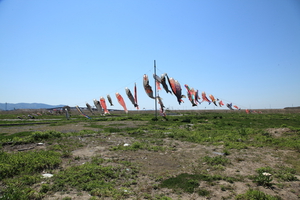 鯉も口を開けて待つ復興