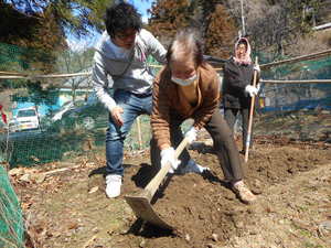 まだまだ現役。