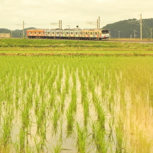 あの日見た列車 
