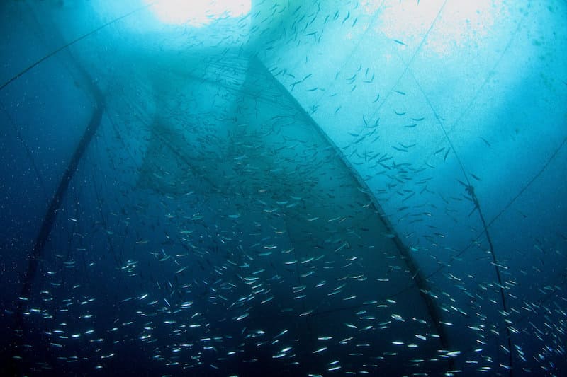 2016 「潮の恵み、再び。」 石巻市