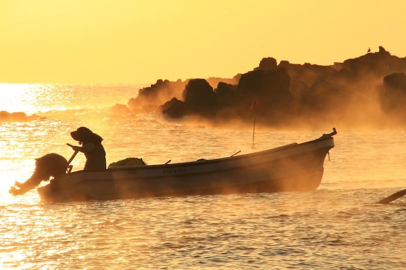 2017 「寒い朝」 石巻市
